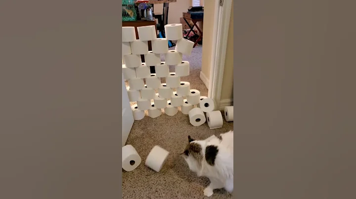 Cat Challenge Toilet Paper