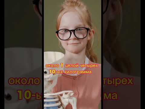 Интересные факты обо всём. #животные #факты #история