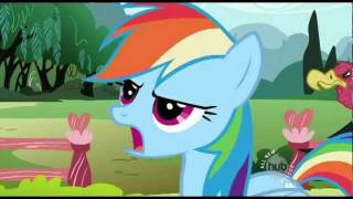 The pet song from may best win. episode 7 of season 2 my little pony:
friendship is magic.