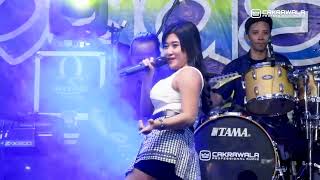 Santri Pekok - Dini Elsia ǁ NEW MADEVA LIVE WARUREJO KEJAPANAN ǁ CAKRAWALA AUDIO