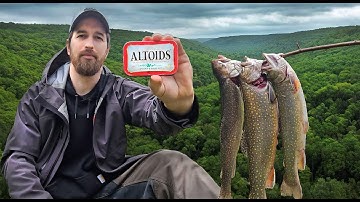 3 Days in the Wild Using an Altoids Tin Survival Kit to Survive - No Food or Water