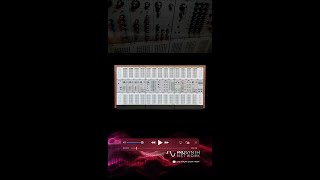 Analogue Solutions TC5000 | Pro Synth Network | Synth Discussion SynthFest 2024