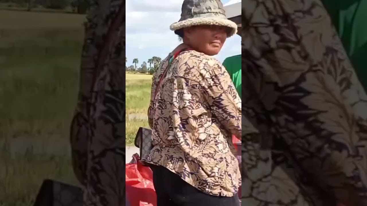 Farmers activities during harvesting season 💕🇰🇭 