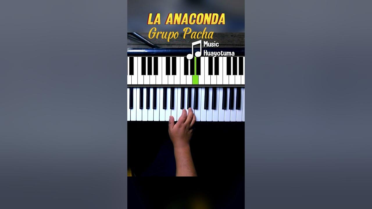 La Anaconda Grupo Pacha Teclado #laanaconda #teclado  #musichuayotuma