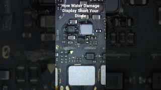 How Water Damage Display Short Your Diode#Shorts