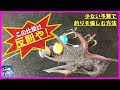 タコ釣り仕掛けの新しいスタンダード！安い！簡単！釣れる！もっとカンタン！★☆★TACOBEE★☆★