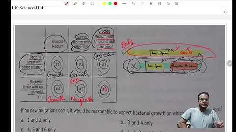 Question on lac operon ? | Gene regulation in prokaryotes | Detail discussion | CSIR-Net | 2024