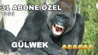 31 ABONE ÖZEL SJSJSJSJSJSJSJSJSJSJSJSJSJSJSJ