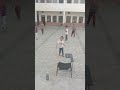 Martial Arts In GTB school #karate #martialarts
