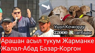 видео: Арашан асыл тукум Ярмарка Жарманке  Жалал-Абад Базар-Коргон  картинка: Арашан асыл тукум Ярмарка Жарманке  Жалал-Абад Базар-Коргон