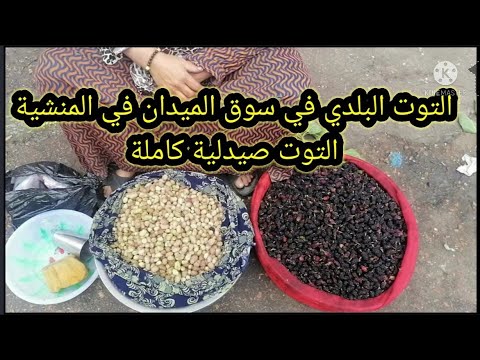 بائعة التوت البلدي في سوق الميدان في المنشية فوائد مذهلة للتوت البلدي