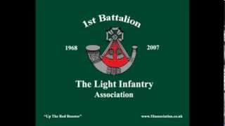 Mechanised Infantry