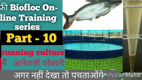 Runing culture मैं आने वाली परेशानी | part- 10 | Biofloc online training series | Jaikumar Nagpur.