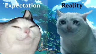 Sumeru Story Expectation vs Reality