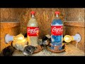 Süper Fikir | 1 Litre coca cola Şişesi ile Civciv Yemlik Suluk Yapımı