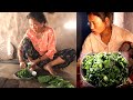 Family in the Jungle || Season - 3 || Video - 6 || Cooking lunch ||