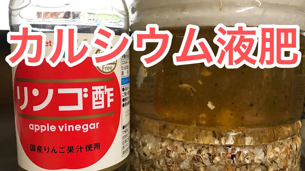  ISOFARMA グリコン酸カルシウム溶液 10% リーフレット
