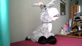 Singing Donkey