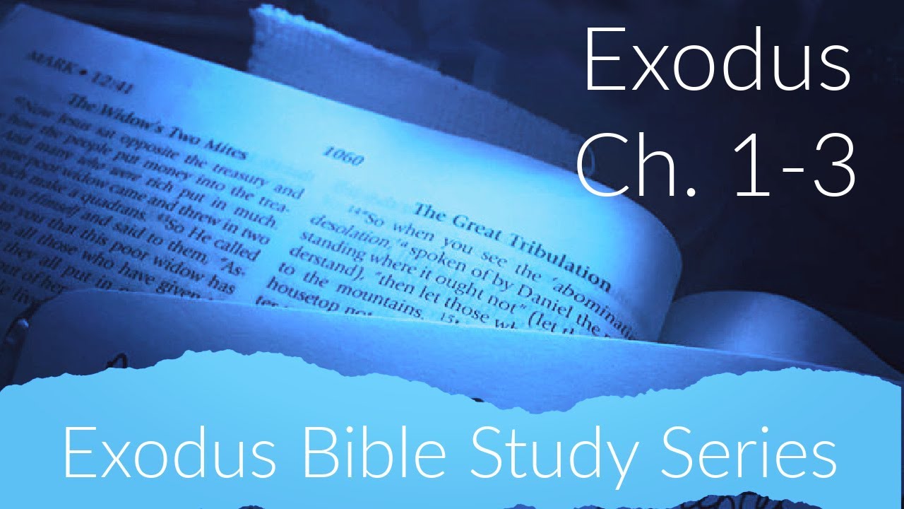 ⁣Exodus Ch. 1-3 Bible Study | The Calling of Moses & The Name of God