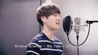 Video thumbnail of "Ariana Grande - No Tears Left To Cry (Cover by Dragon Stone)"