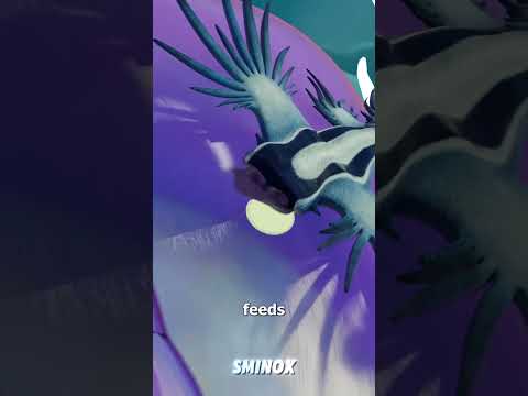 تنين صغير يستخدم س م أعدائه للدفاع عن نفسه كائنات بحرية مخلوقات غريبة حياة البحار