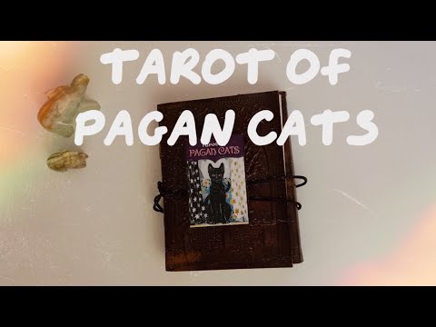 Таро Языческих Кошек Мини 🐈‍⬛ Обзор Колоды | Tarot Of Pagan Cats 🐱