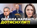 🔺 ГОНГАДЗЕ: Угорщину ЗМУСИЛИ піти НА ПОСТУПКИ! ЄС зайняв жорстку позицію, Байден закриє кордони?