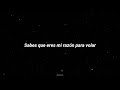 Slushii Reason To Fly Sapientdream Sub Español mp3