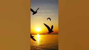 روعة القارئ #محمد_الفقيه #quran #القرآن_الكريم #الجزائر #تلاوة #المغرب #السعودية #القرآن
