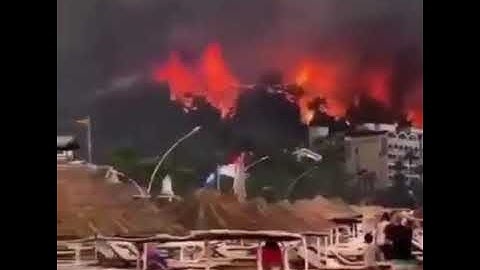 الشيخ عمر عبدالله تلاوة الحزين