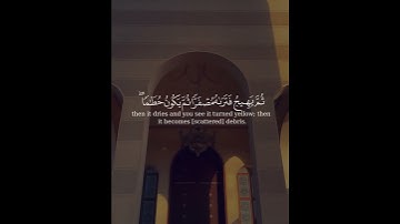 اعلمو انما الحياة الدنيا لعب ولهو (ماتيسر من القرآن الكريم)