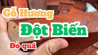 Gỗ Hương và nhưng điều cần biết về hương đỏ làm án gian thờ | Đồ gỗ Gia Vũ