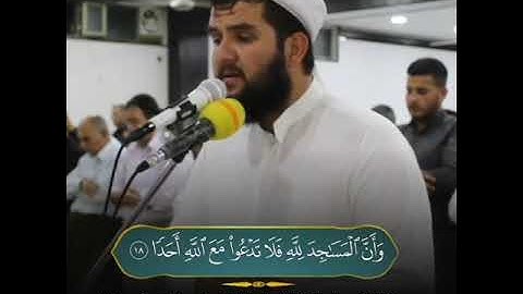 تلاوة هادئة و جمیلة للقارئ دلشاد احمد الكردي ما تيسر من سورة الجن.