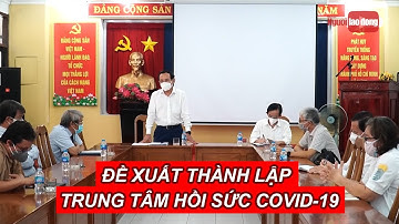 Đề xuất thành lập trung tâm hồi sức Covid-19 tập trung cho cả TP HCM |  NLĐTV