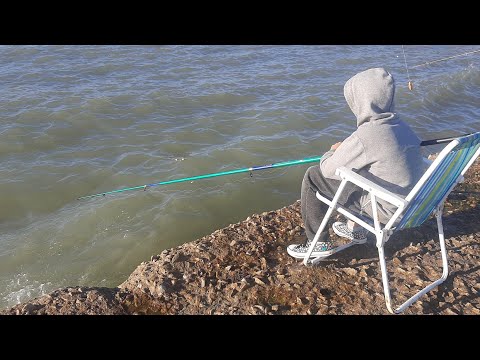 Vídeo: Cuando Una Persona Aprendió A Pescar - Vista Alternativa