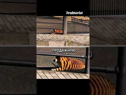 Скоро солнце сядет, и исчезнет тень…И тогда ты останешься той же собакой...
