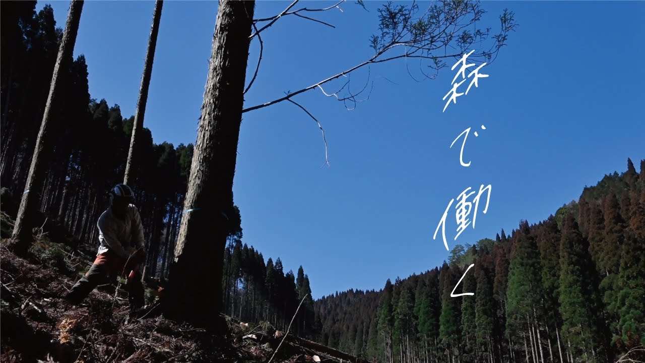 林業webメディア「もりジョブおおいた」～森で働く～