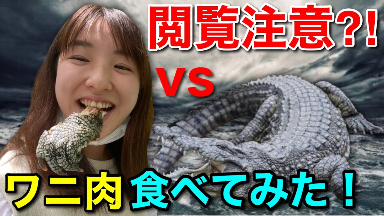 ゲテモノ注意 ワニ肉の味がやばすぎたwwww Youtube