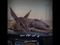 شطن بي الغزلاني لي لهن عيان سـود و السولعي وز اني في امتابعه مــجهود إمن الوزا ظمياني شطن بي الغزلاني لي لهن عيان سـود و السولعي وز اني في امتابعه مــجهود إمن الوزا ظمياني