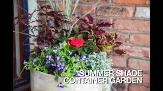 PETITTI Summer Shade Containers