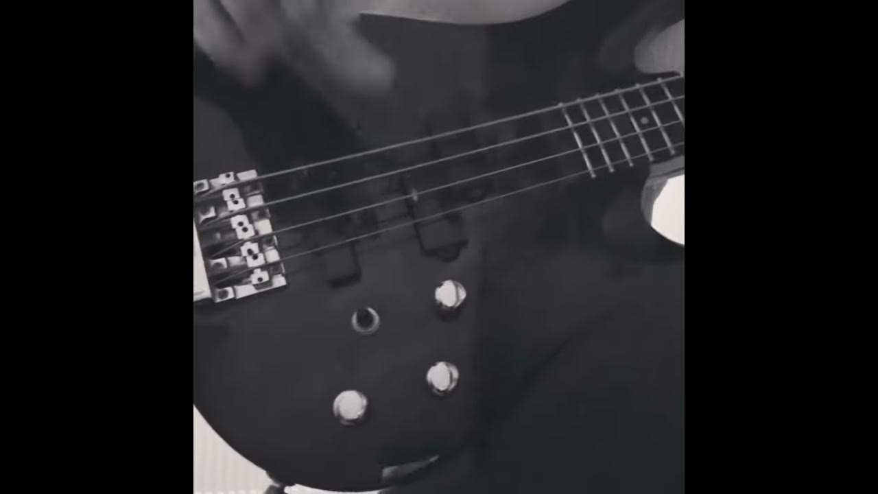 Chic everybody dance bass solo Chic everybody dance bass solo
