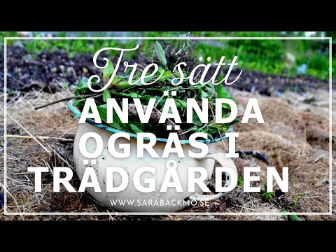 Video: 3 sätt att bli av med ogräslukt