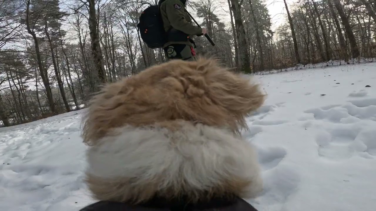 Eiszeitpfad - Blaubeurer Felsenstieg Eine kleine Wanderung mit Strubbel