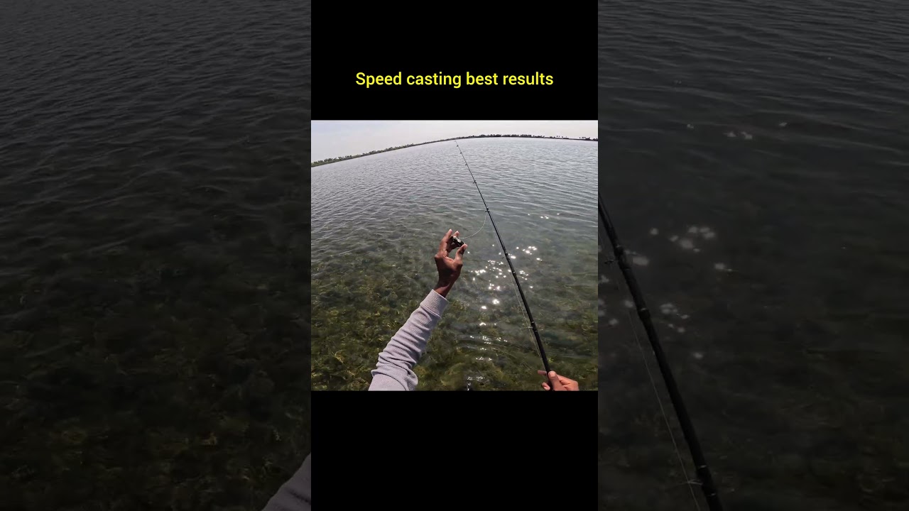 snake head fishing 🎣/speed casting is best result for snake head fishing.