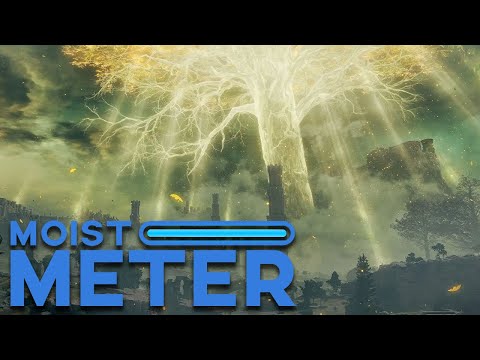 Moist Meter | Elden Ring