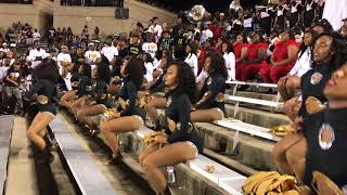 ASU Stingettes Tuskegee &#39;17 &quot;Wild Thoughts&quot;
