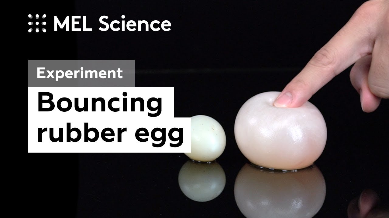 How to make a bouncy ball from an egg ("Rubber egg" experiment) YouTube
