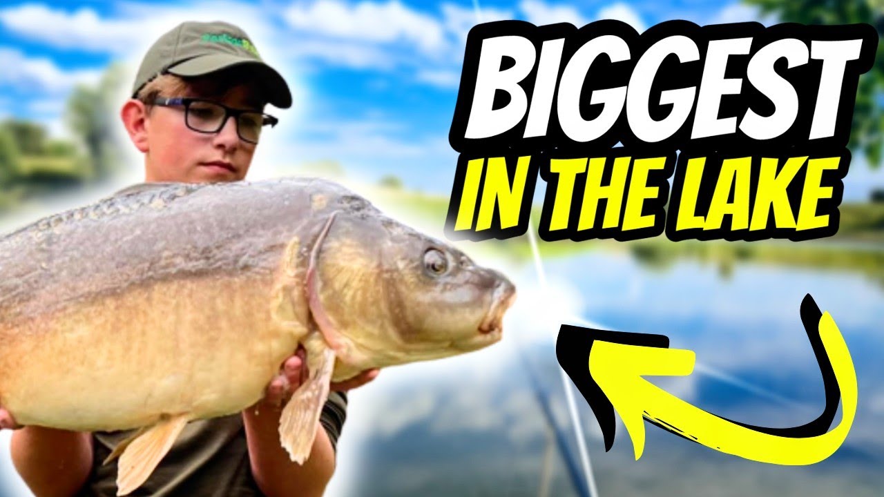 INSANE Catch At My Local Lake!