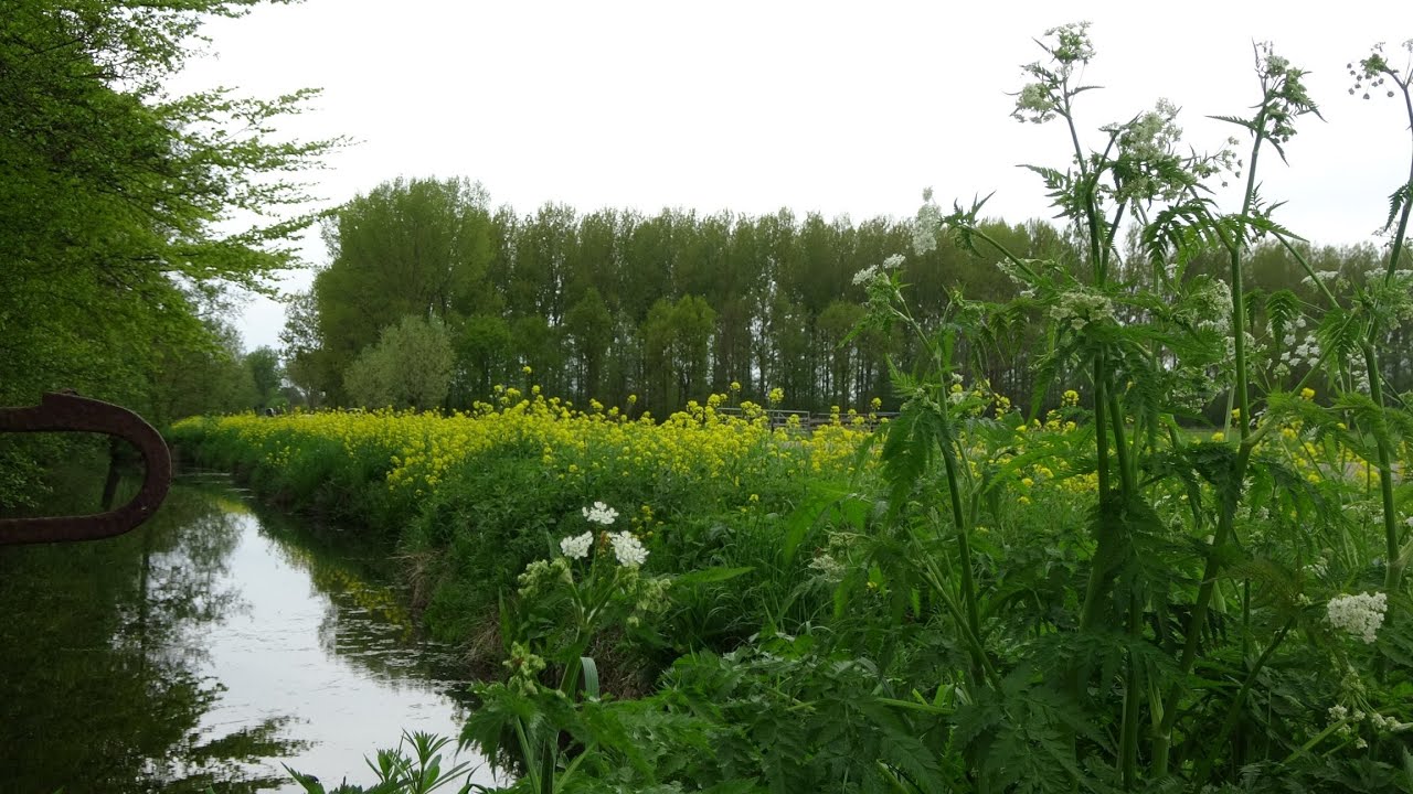 Ameide en omgeving april 2018