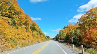 AUTUMN Foliage Scenic Drive to Algonquin Park to See Fall Leaves Colors